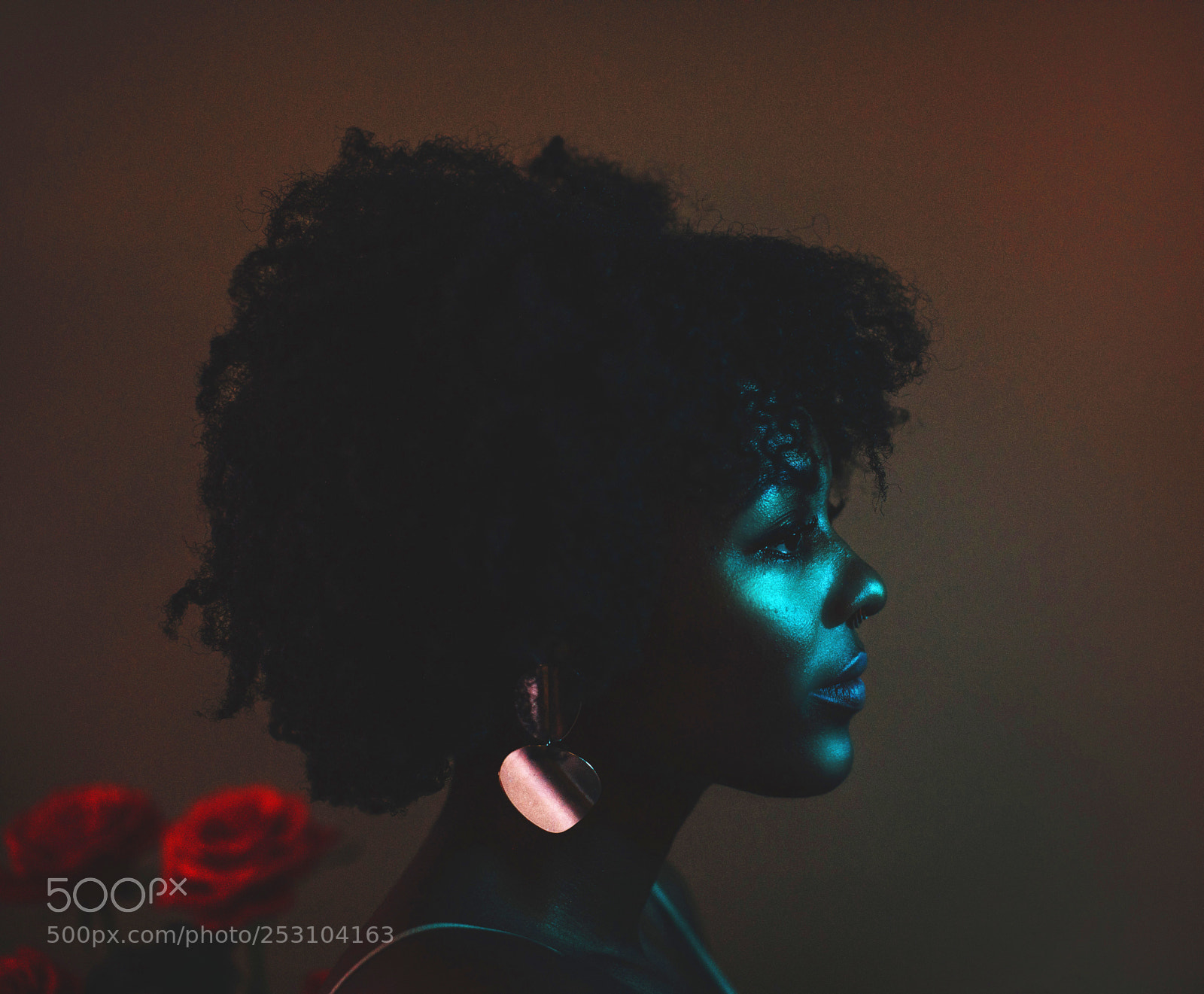 Canon EOS 5D Mark IV sample photo. Roses photography