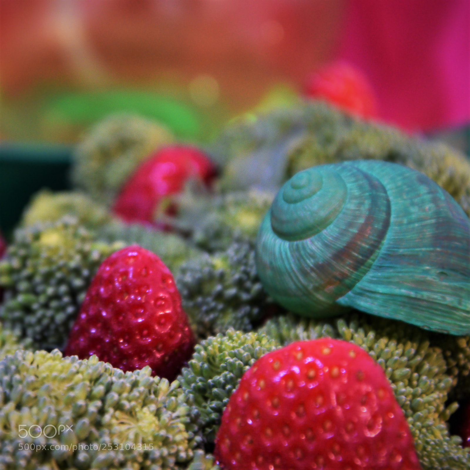 Nikon D3300 sample photo. Snail n green, vegetables photography