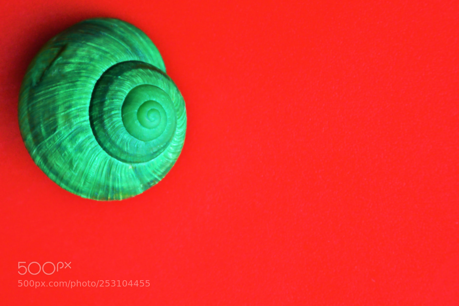 Nikon D3300 sample photo. Green snail house on photography