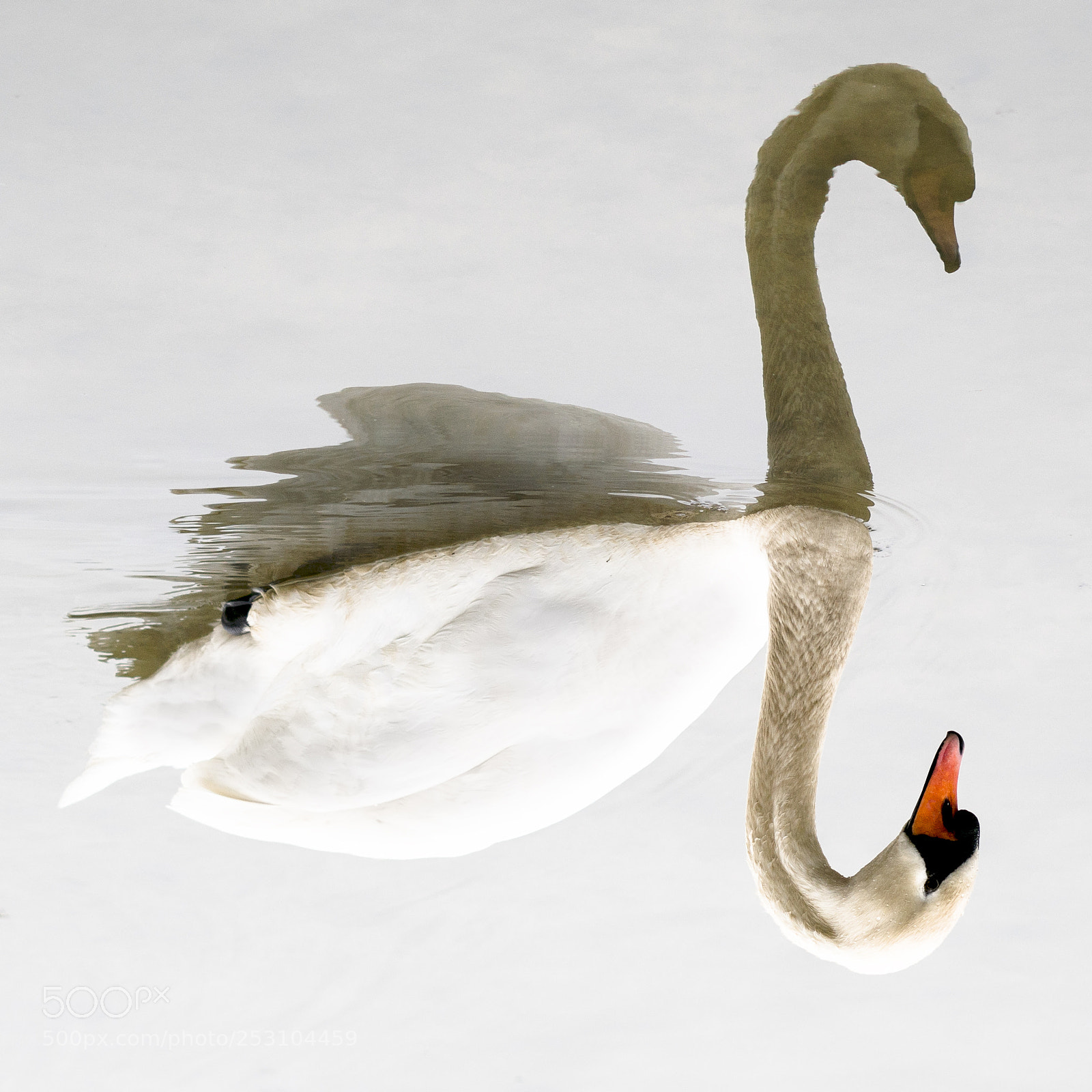 Sony a6500 sample photo. Reflection is the master photography