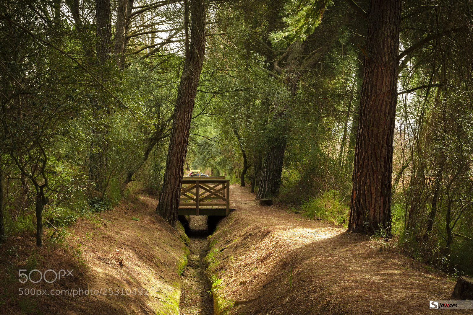 Nikon D7200 sample photo. Acequia de laguna photography