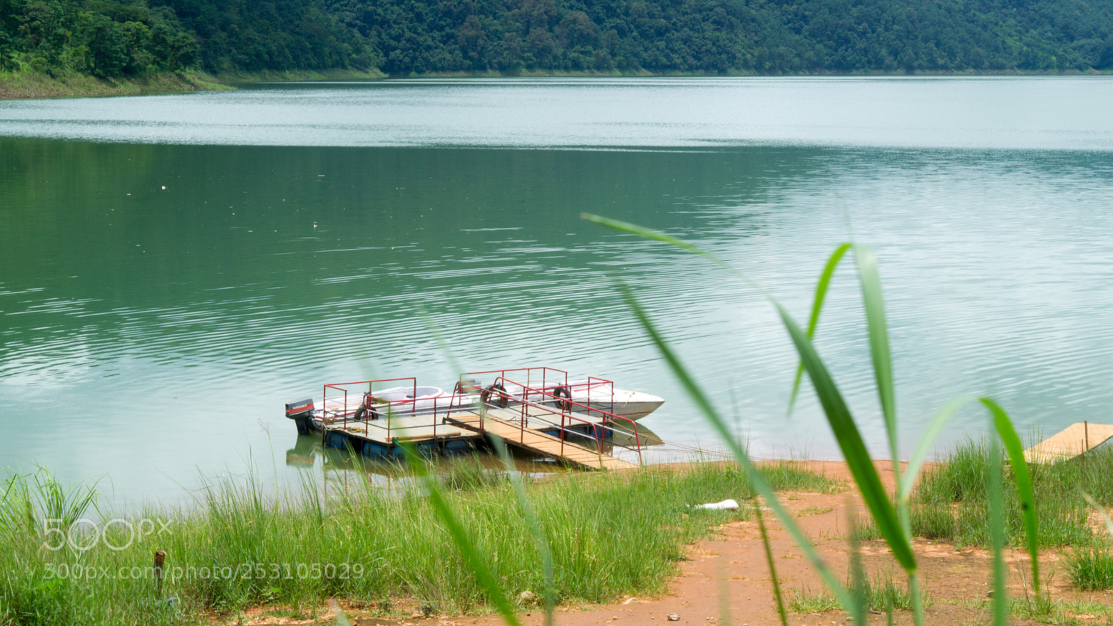 Sony SLT-A37 sample photo. Shillong photography