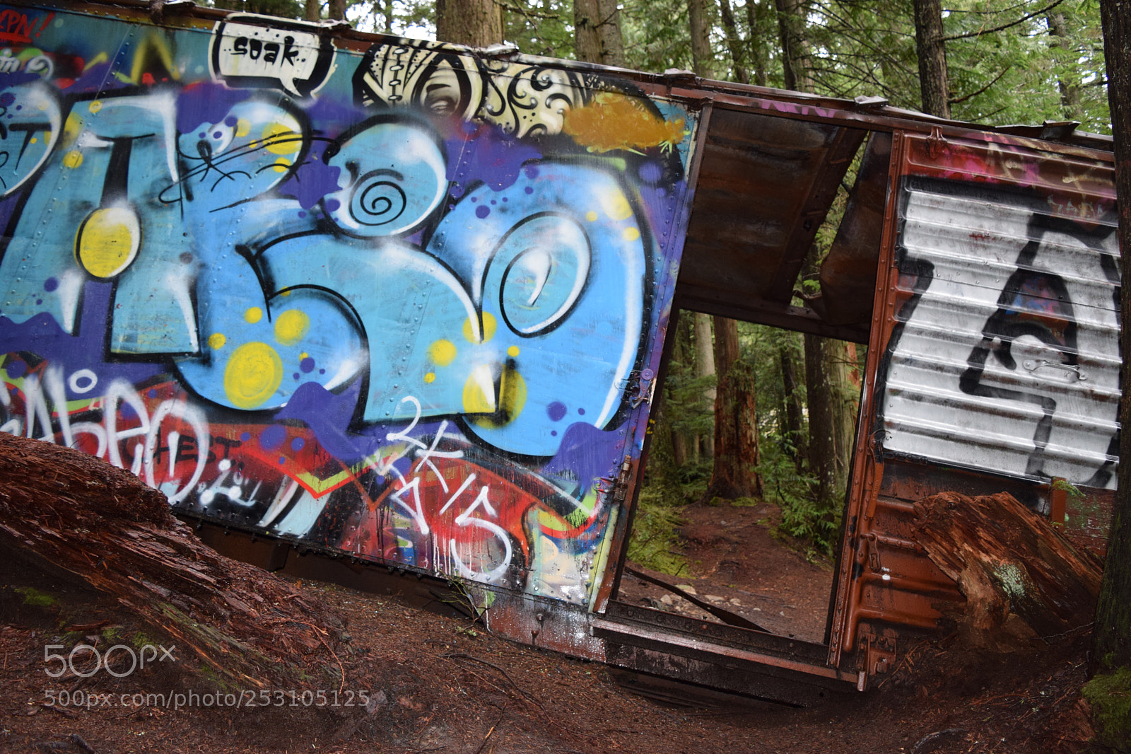 Nikon D3300 sample photo. Reclaimed forest train wreck photography