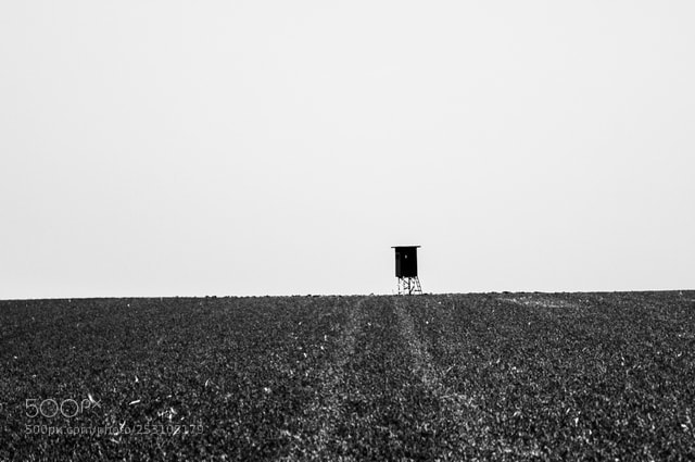 Pentax K20D sample photo. Mitten im feld in photography