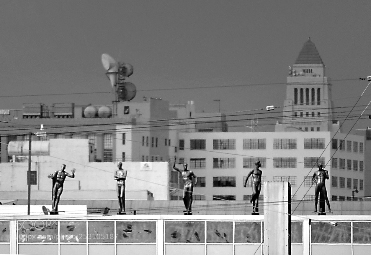 Nikon D3100 sample photo. Ii photography