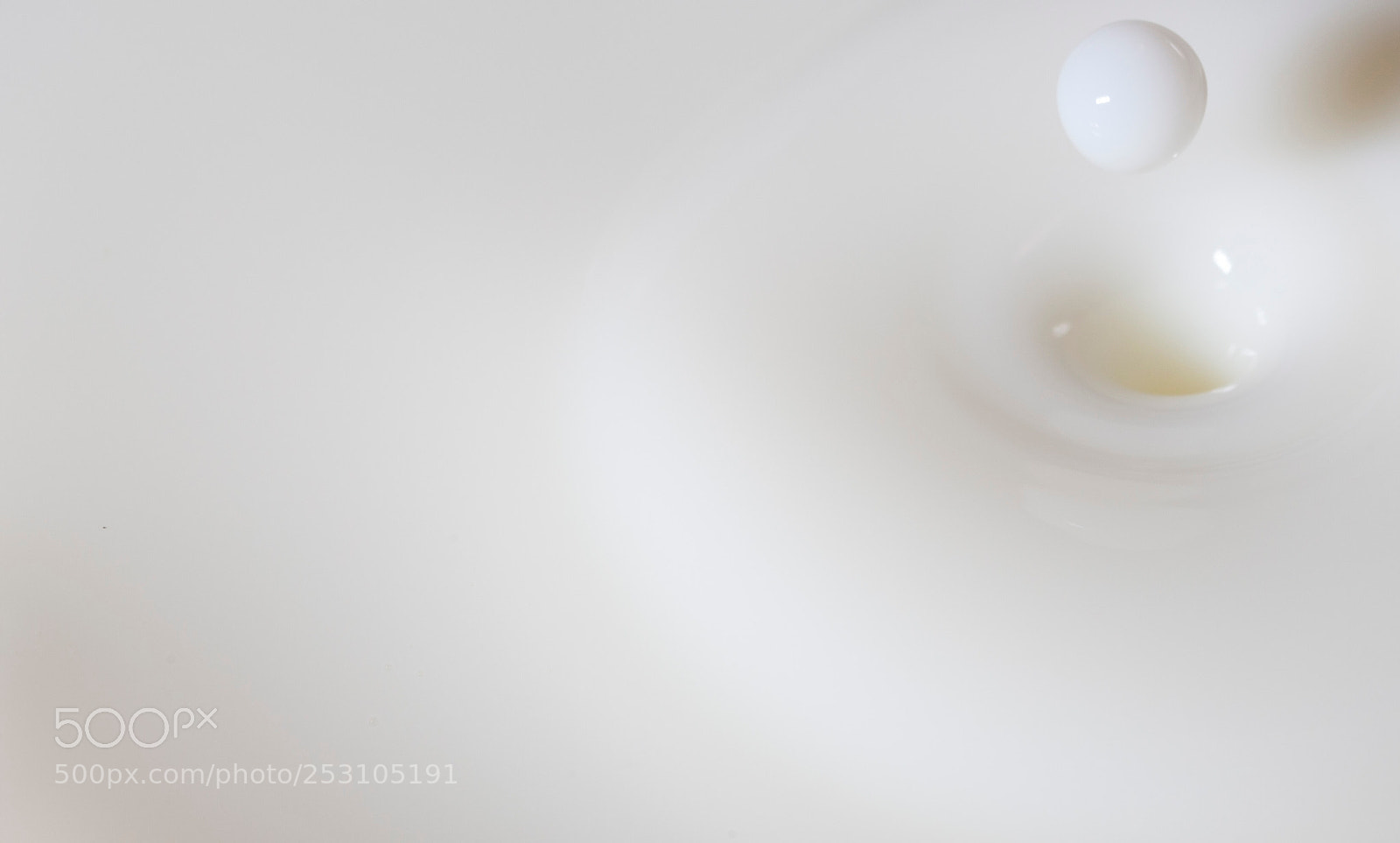 Canon EOS 5D Mark II sample photo. Milk photography