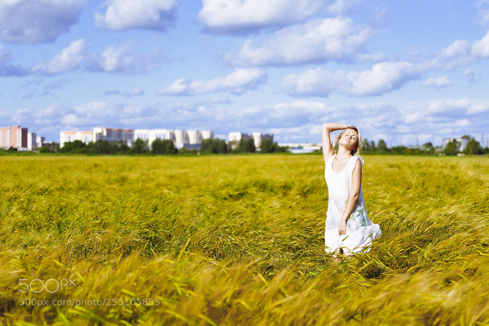 Nikon D800 sample photo. Aab bbddorig photography