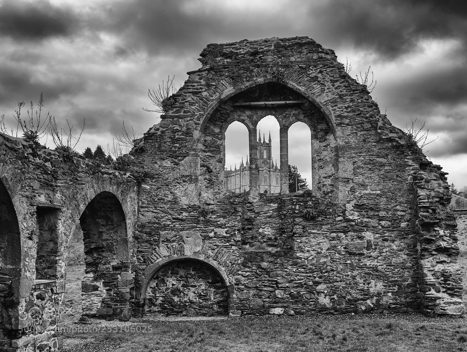 Nikon D750 sample photo. The old abbey and photography