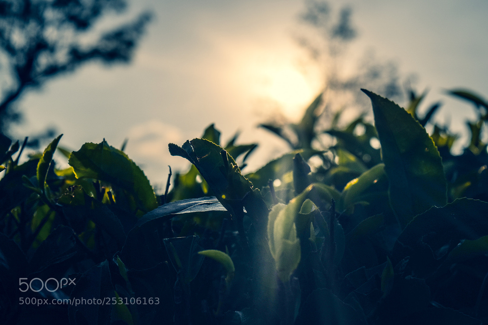 Nikon D5300 sample photo. Untitled photography