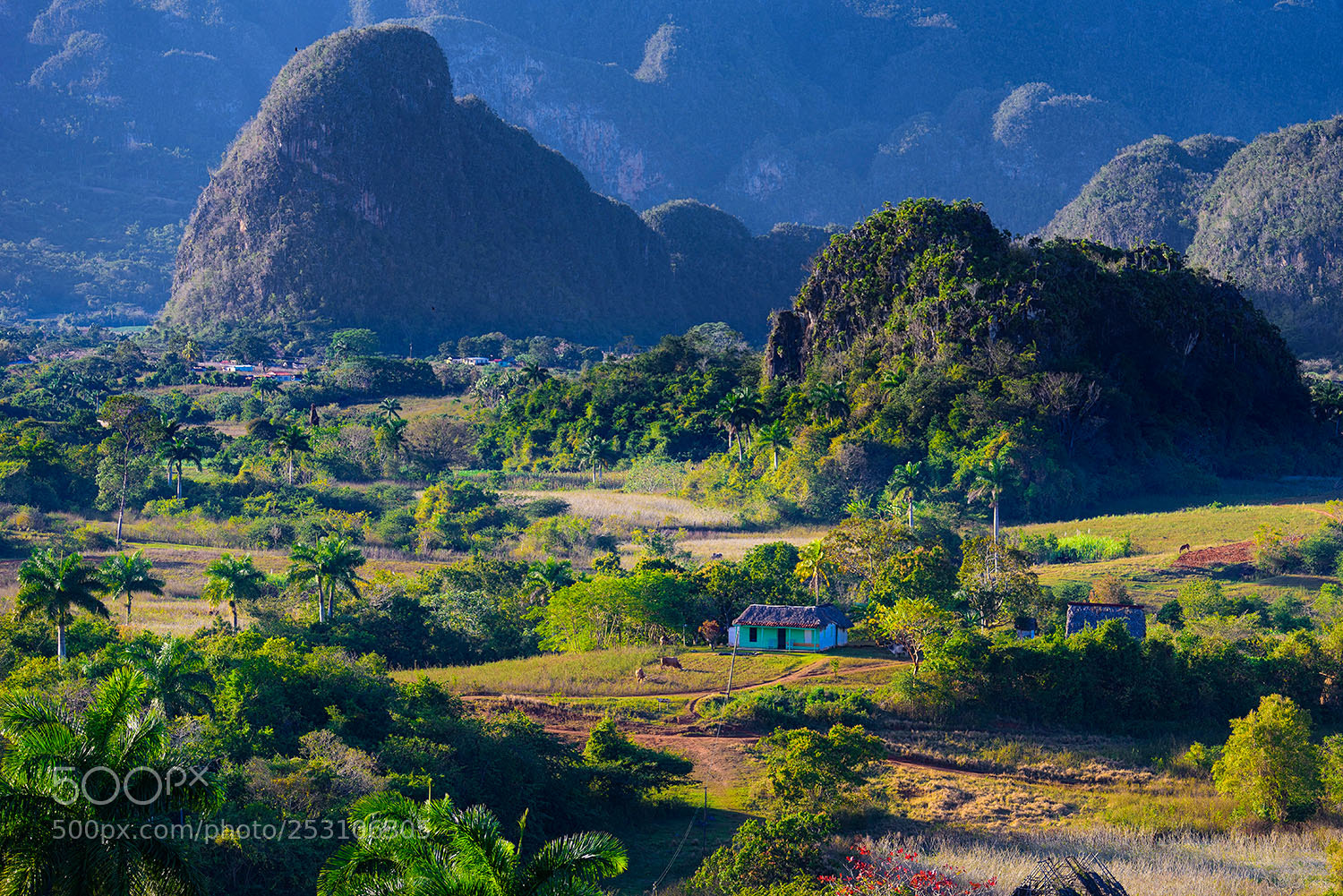 Nikon D810 sample photo. Vinales photography