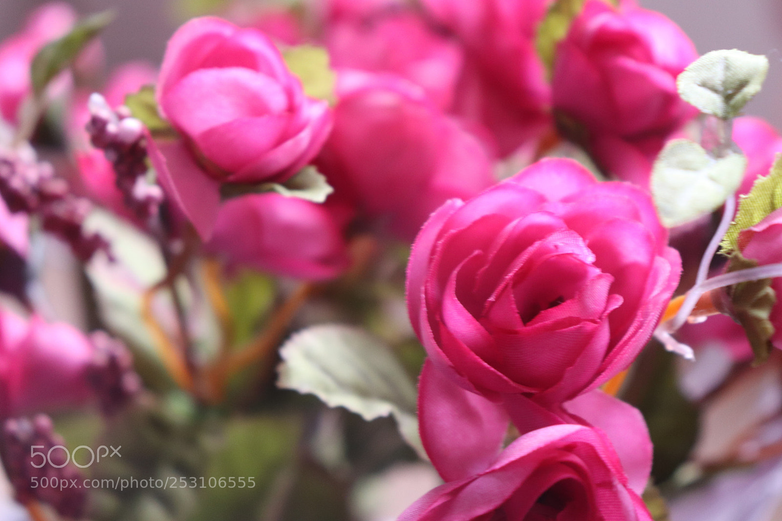 Canon EOS 800D (EOS Rebel T7i / EOS Kiss X9i) sample photo. Second landscape photo please photography