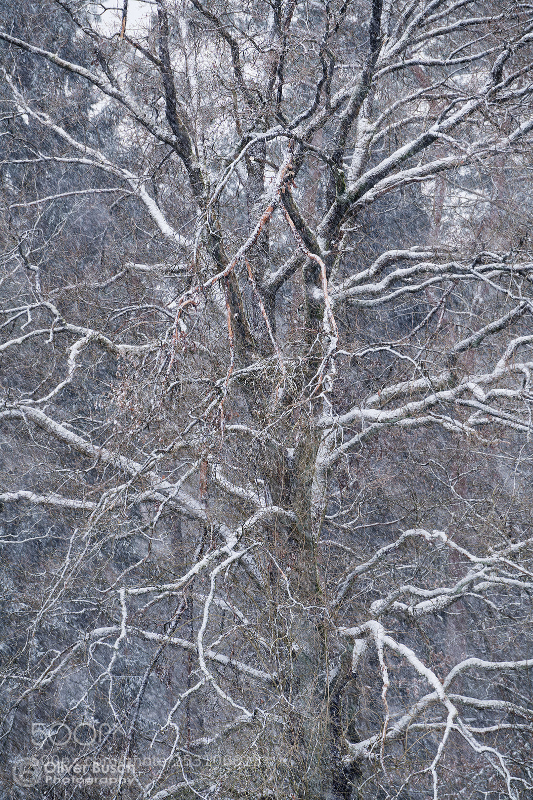 Sony a7R II sample photo. Endurance photography