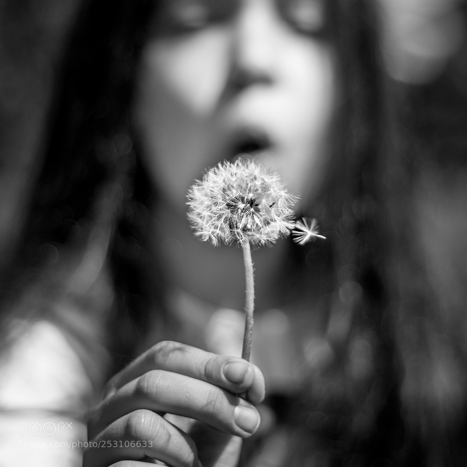 Canon EOS 6D Mark II sample photo. Untitled photography