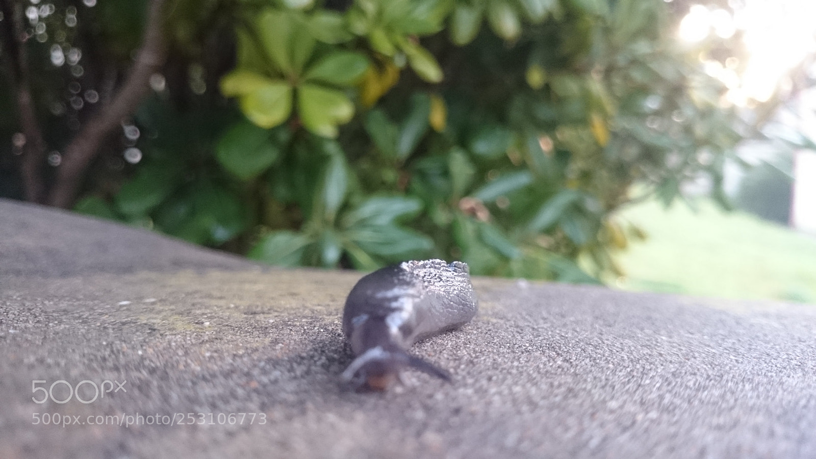 Sony Xperia Z2 sample photo. Untitled photography