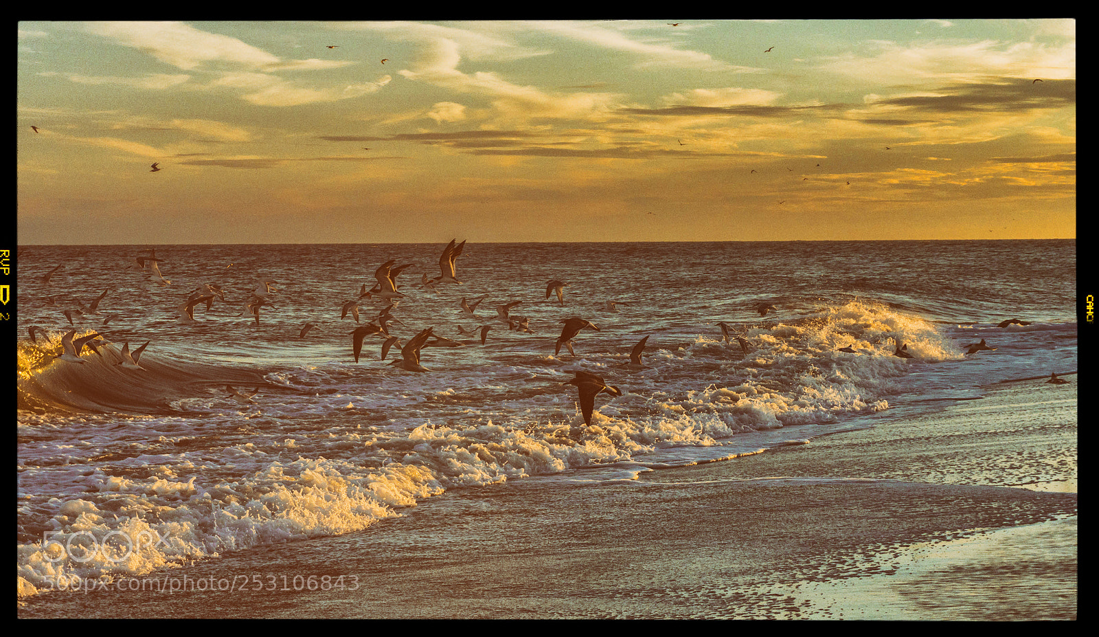 Sony a6000 sample photo. Wings and waves photography