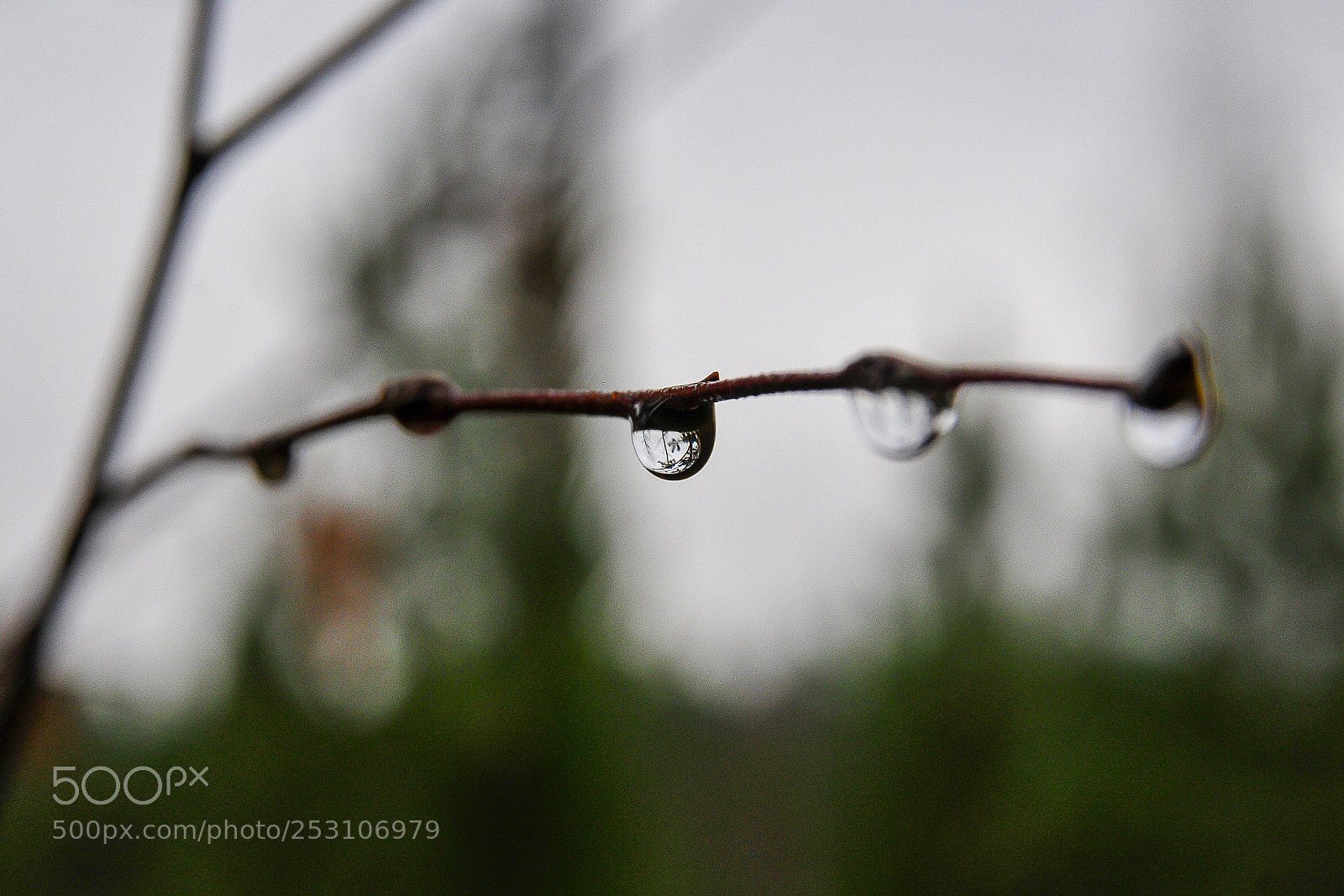 Nikon D300 sample photo. Raindrop before falling photography