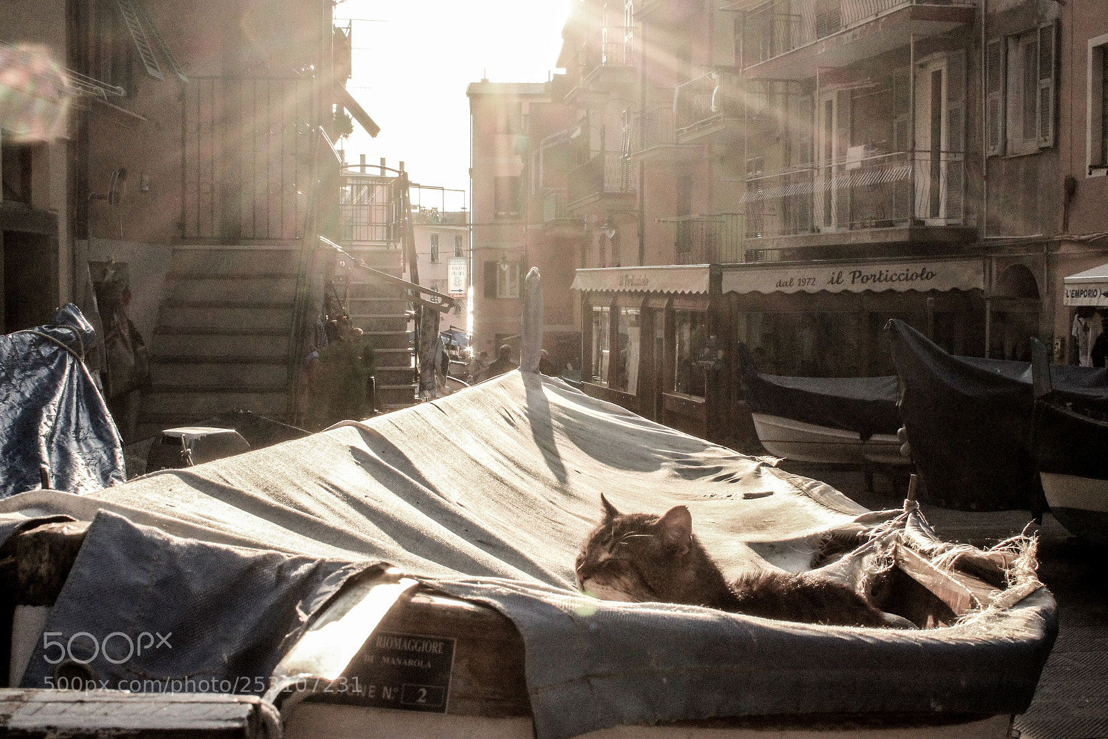 Canon EOS 550D (EOS Rebel T2i / EOS Kiss X4) sample photo. Filippo photography