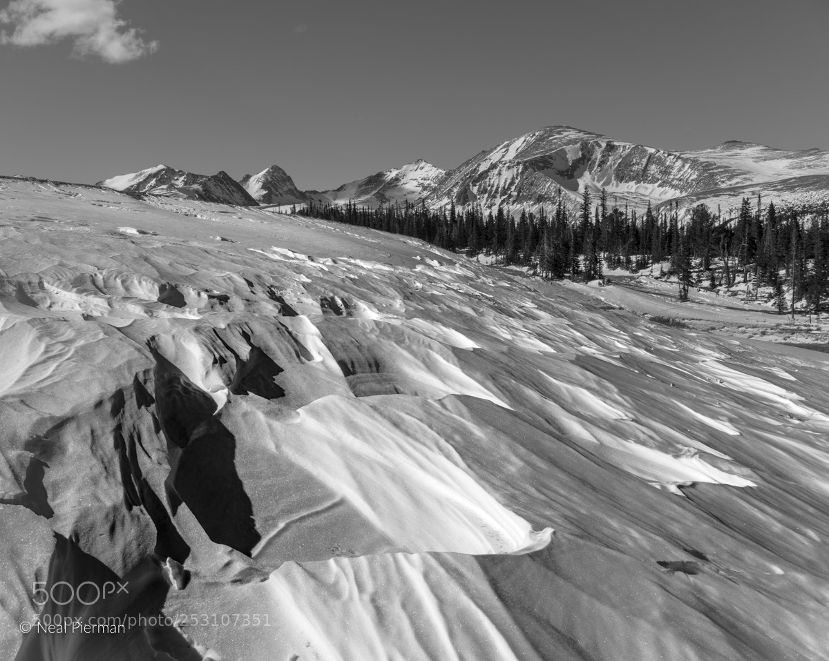 Sony a7R III sample photo. Winter in the indian photography