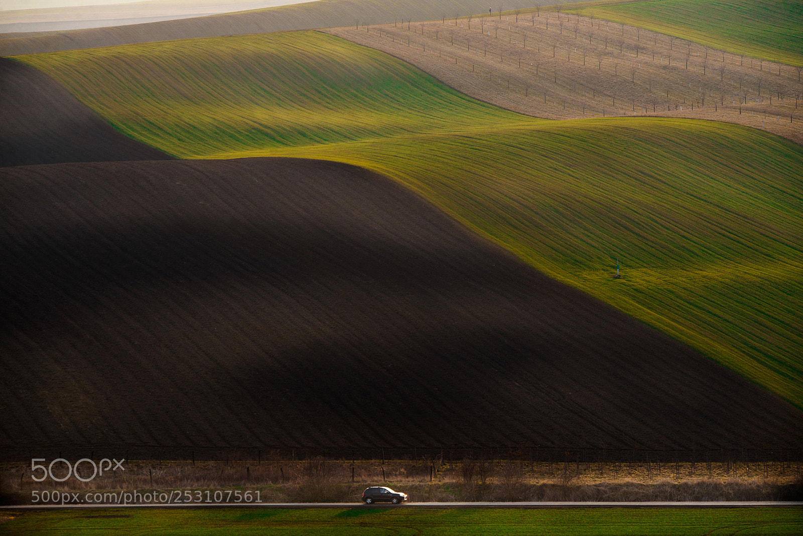 Nikon D600 sample photo. Moravian curves. photography