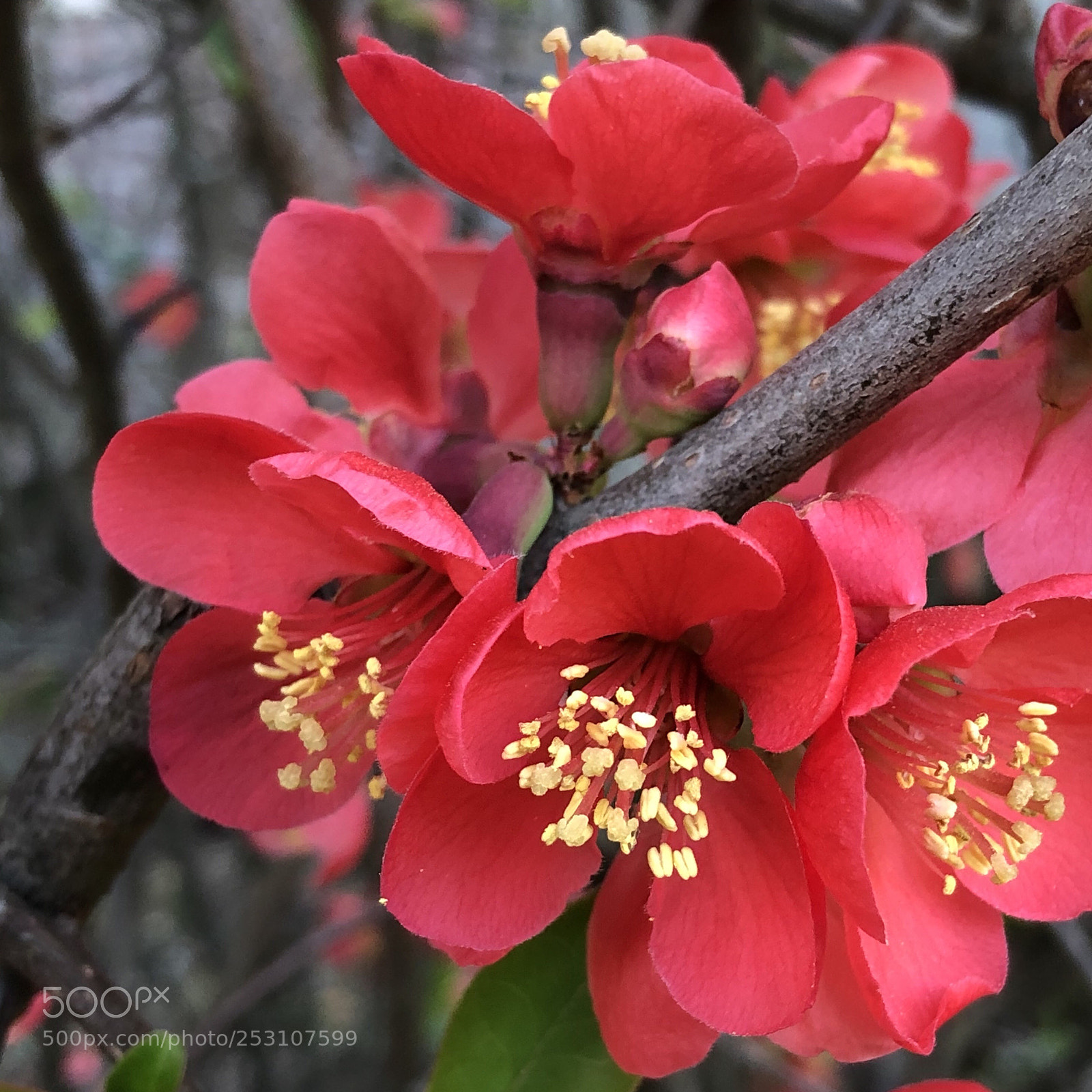 Apple iPhone X sample photo. Untitled photography