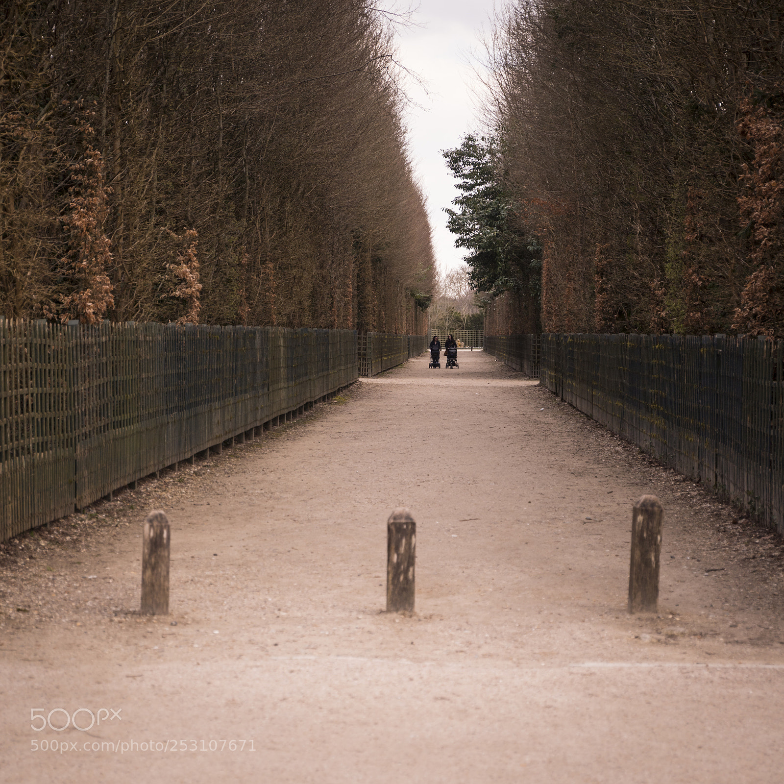 Canon EOS 6D Mark II sample photo. The pathway photography