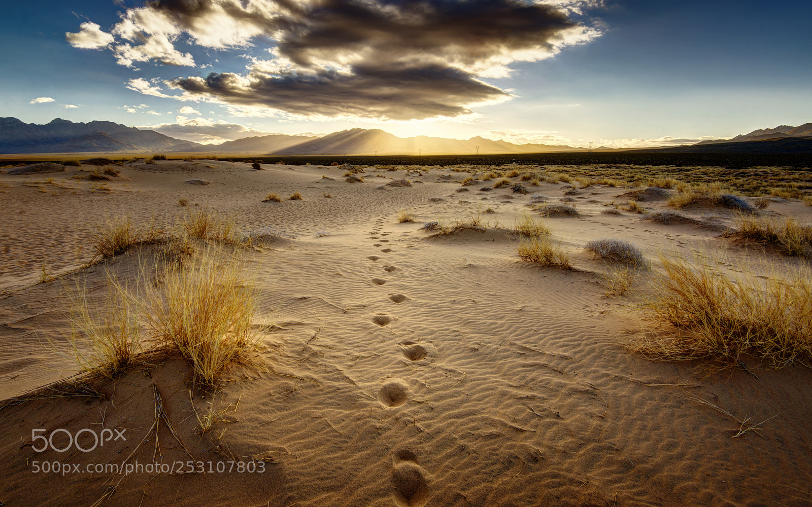 Nikon D610 sample photo. Footprints photography