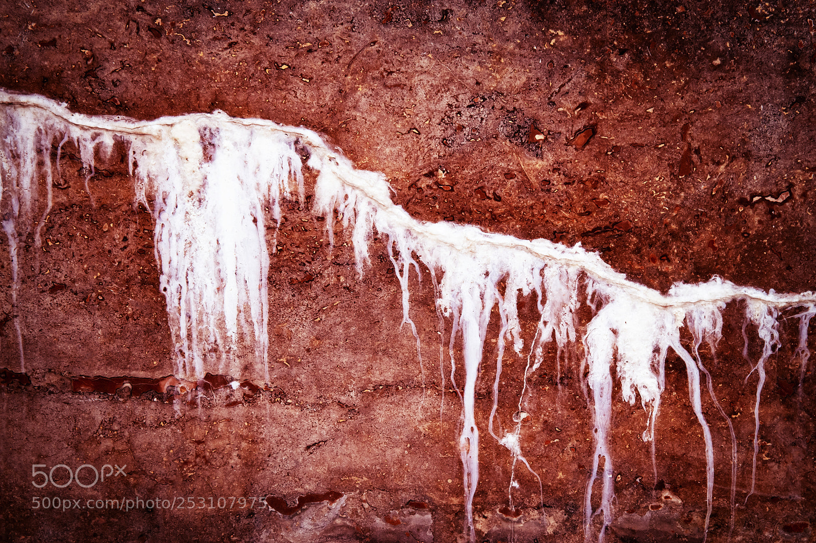 Nikon D5500 sample photo. Red stone on a photography
