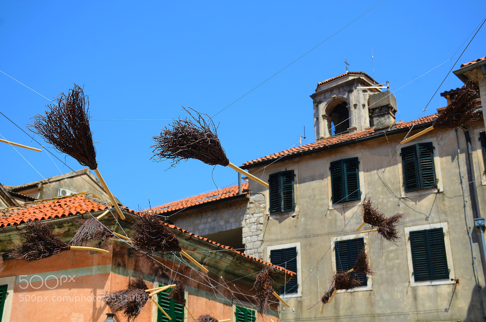 Nikon D7000 sample photo. Witch broom photography