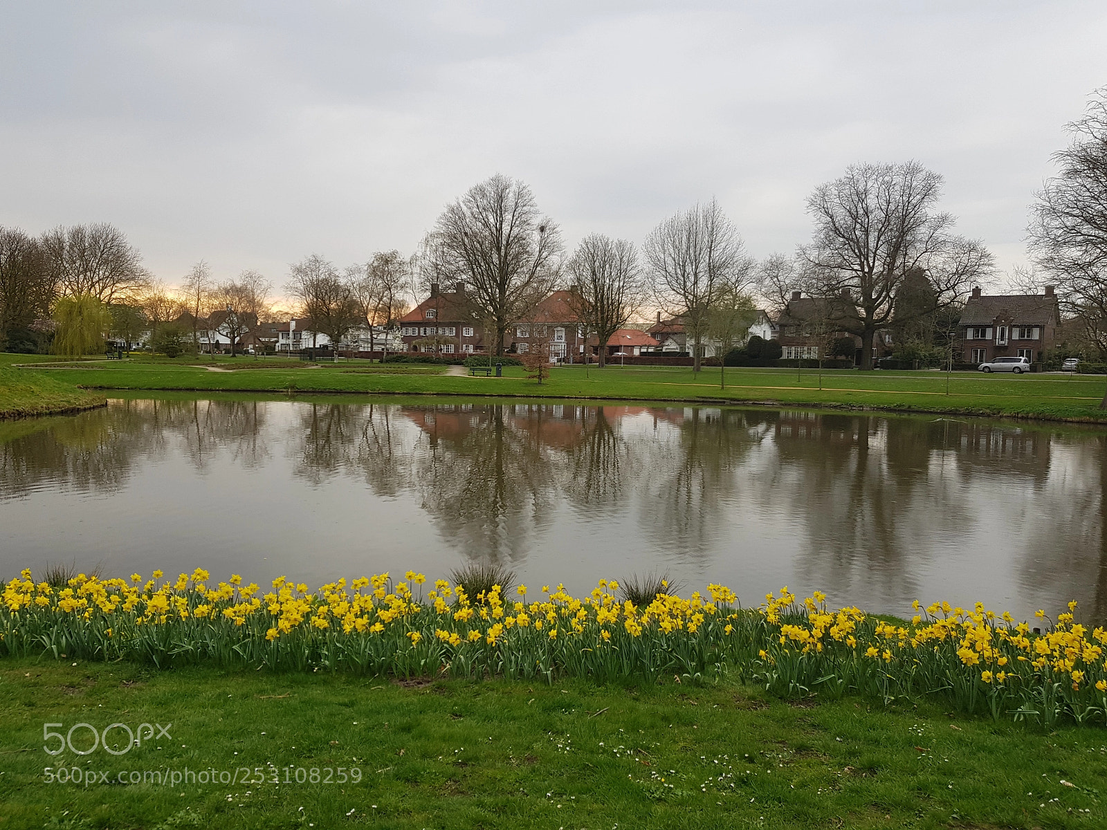 Samsung Galaxy S8 sample photo. Parklaan roosendaal holland from photography