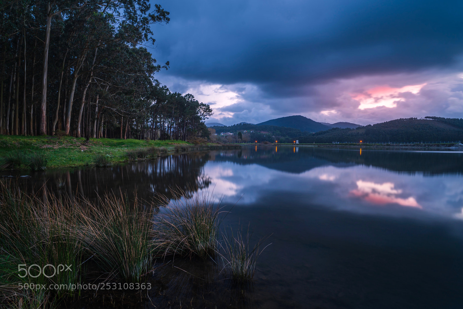 Sony a7 III sample photo. La poza. navia photography