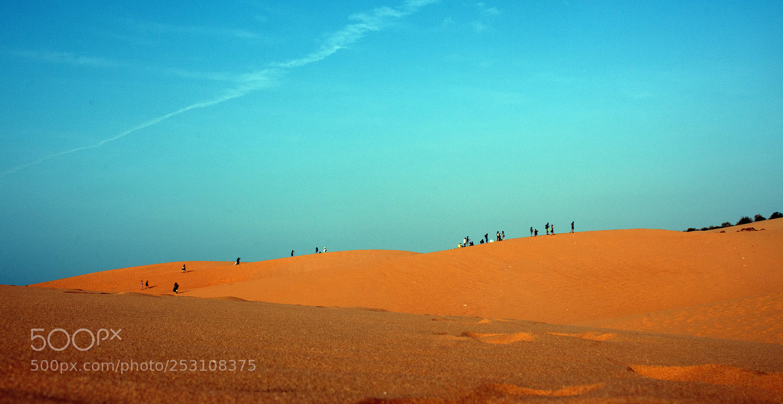 Nikon D7200 sample photo. Untitled photography