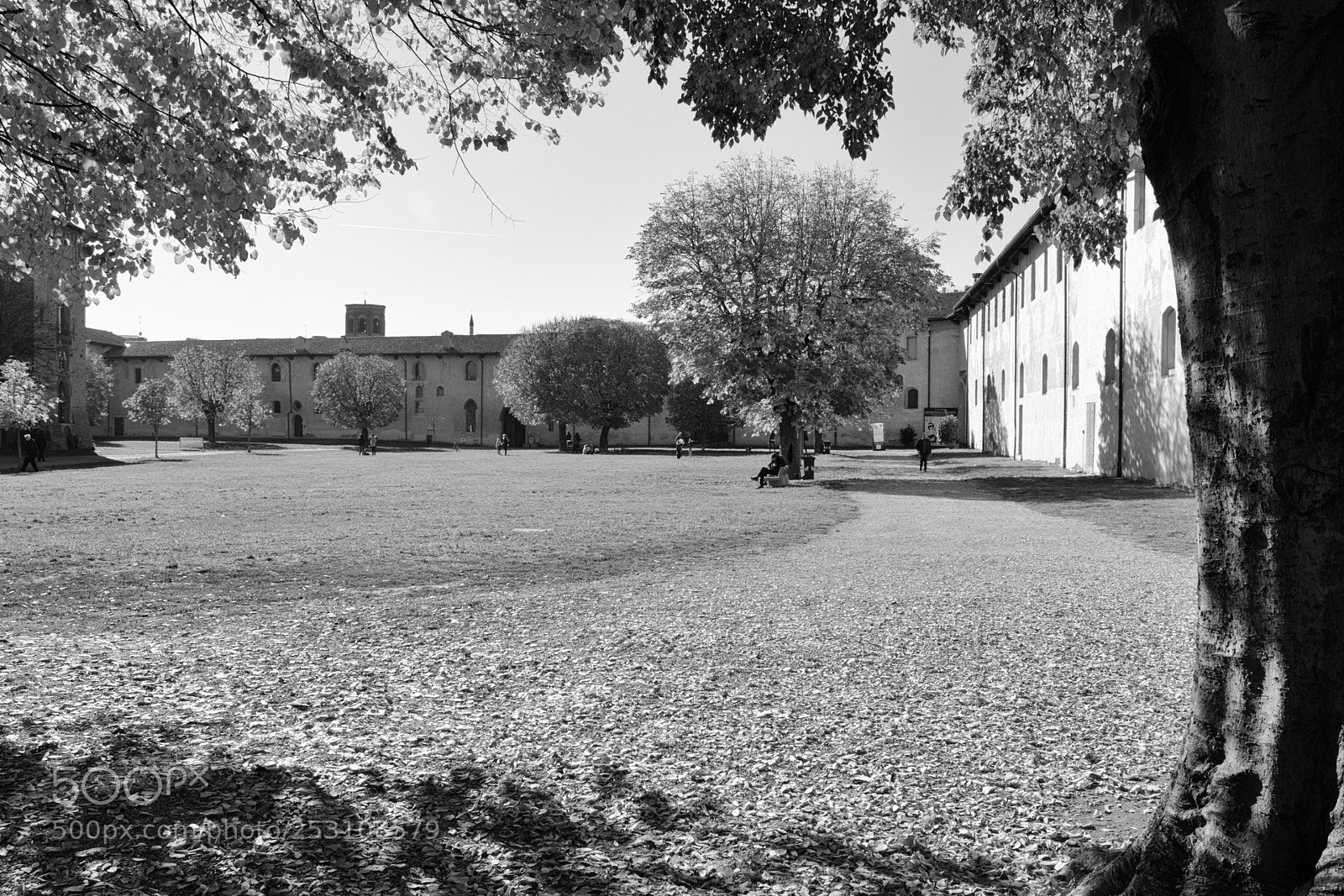 Nikon D7000 sample photo. Vigevano-04 photography