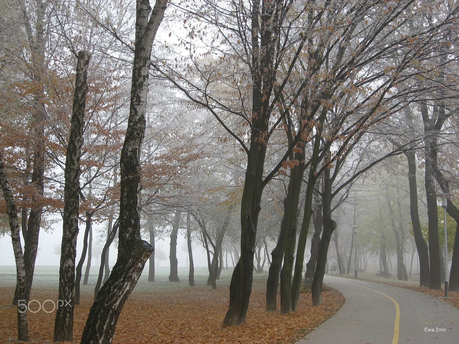 Canon POWERSHOT A540 sample photo. Autumn in the park. photography