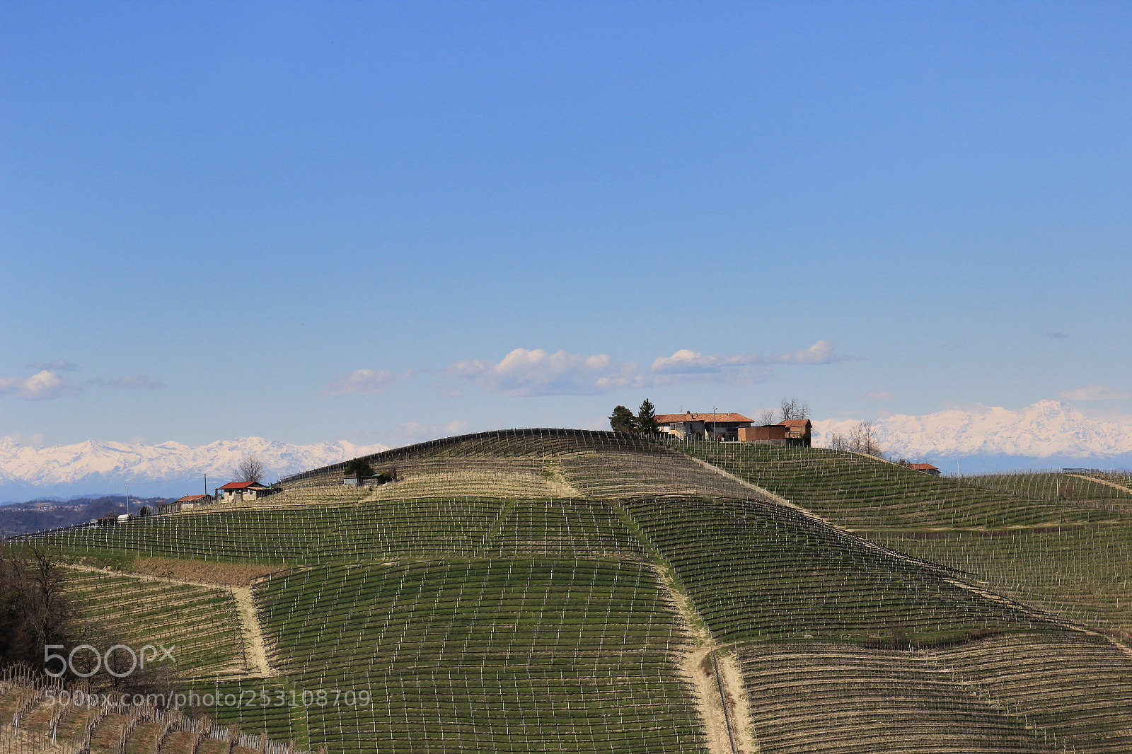 Canon EOS 600D (Rebel EOS T3i / EOS Kiss X5) sample photo. Serralunga d'alba photography