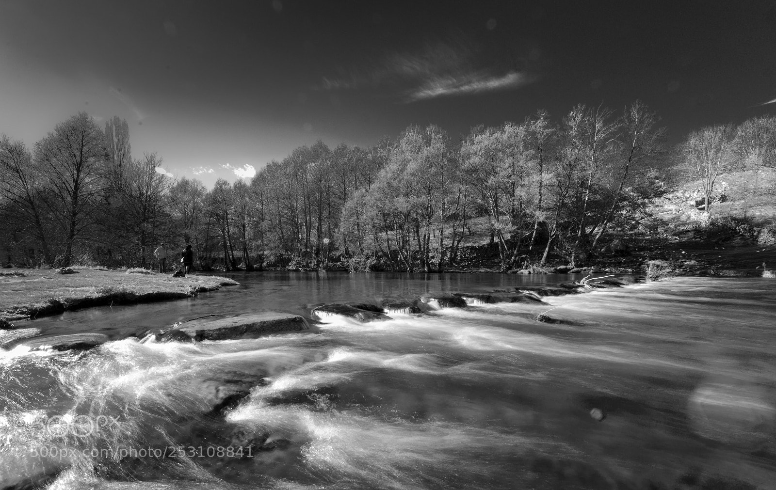 Nikon D5100 sample photo. Rio alberche photography