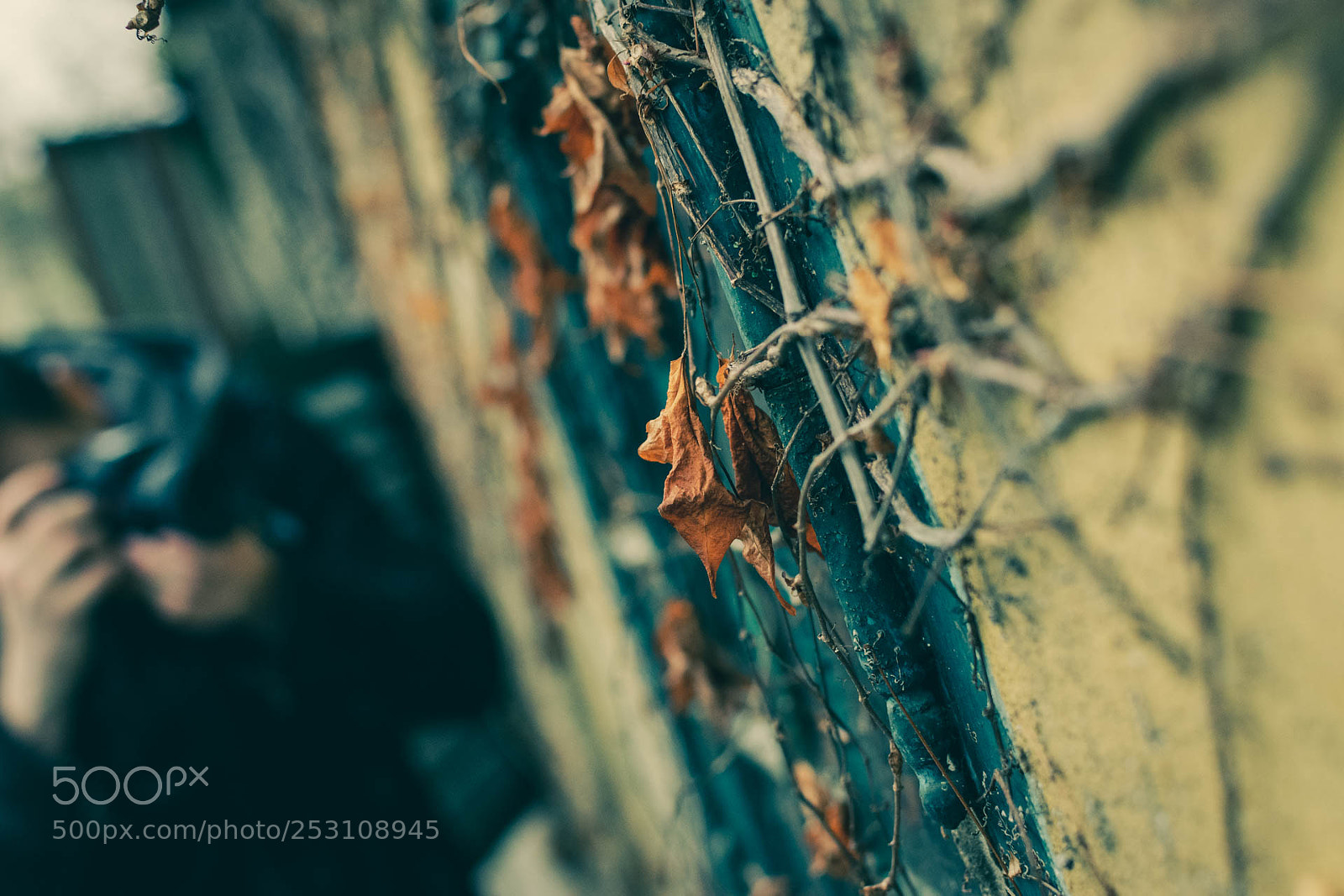 Nikon D5300 sample photo. Picturing a window photography