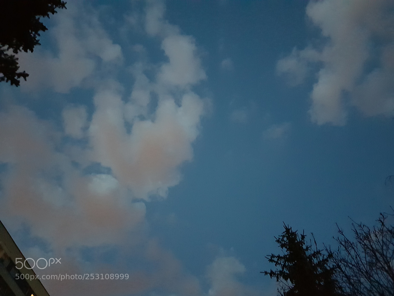 Samsung Galaxy S8 sample photo. Mieszane photography