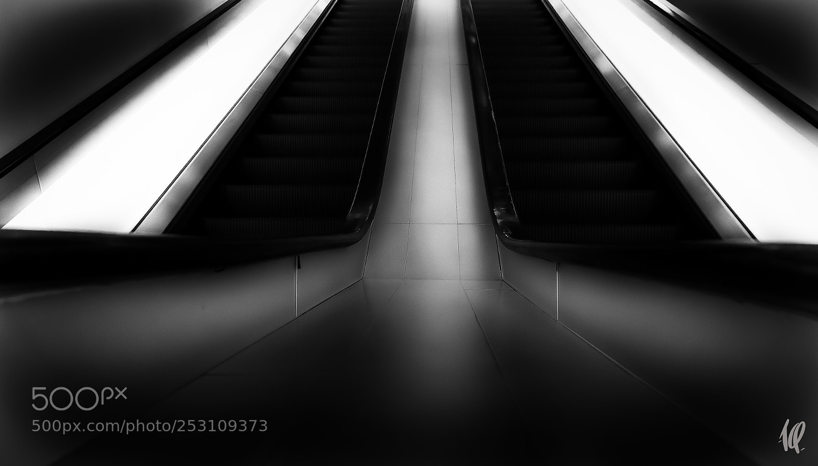 Nikon D5 sample photo. Elevator photography