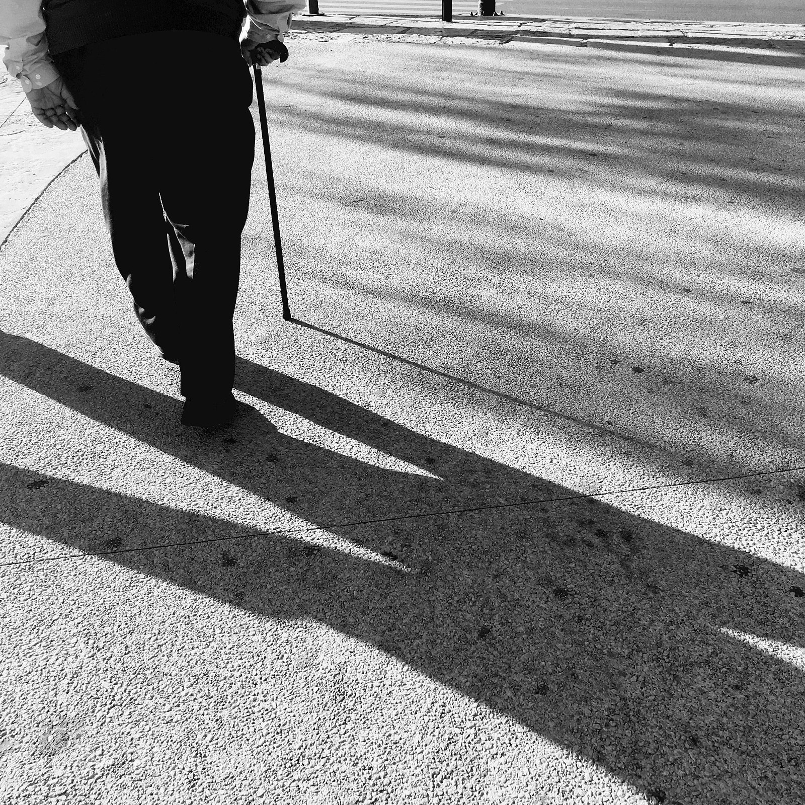 Apple iPhone 6s sample photo. Untitled photography