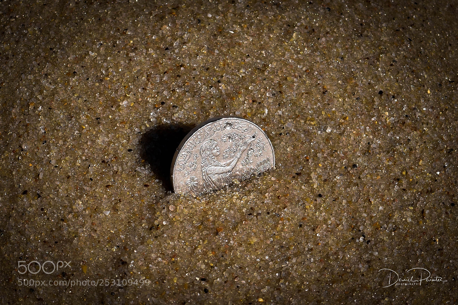 Nikon D5500 sample photo. Treasure island photography