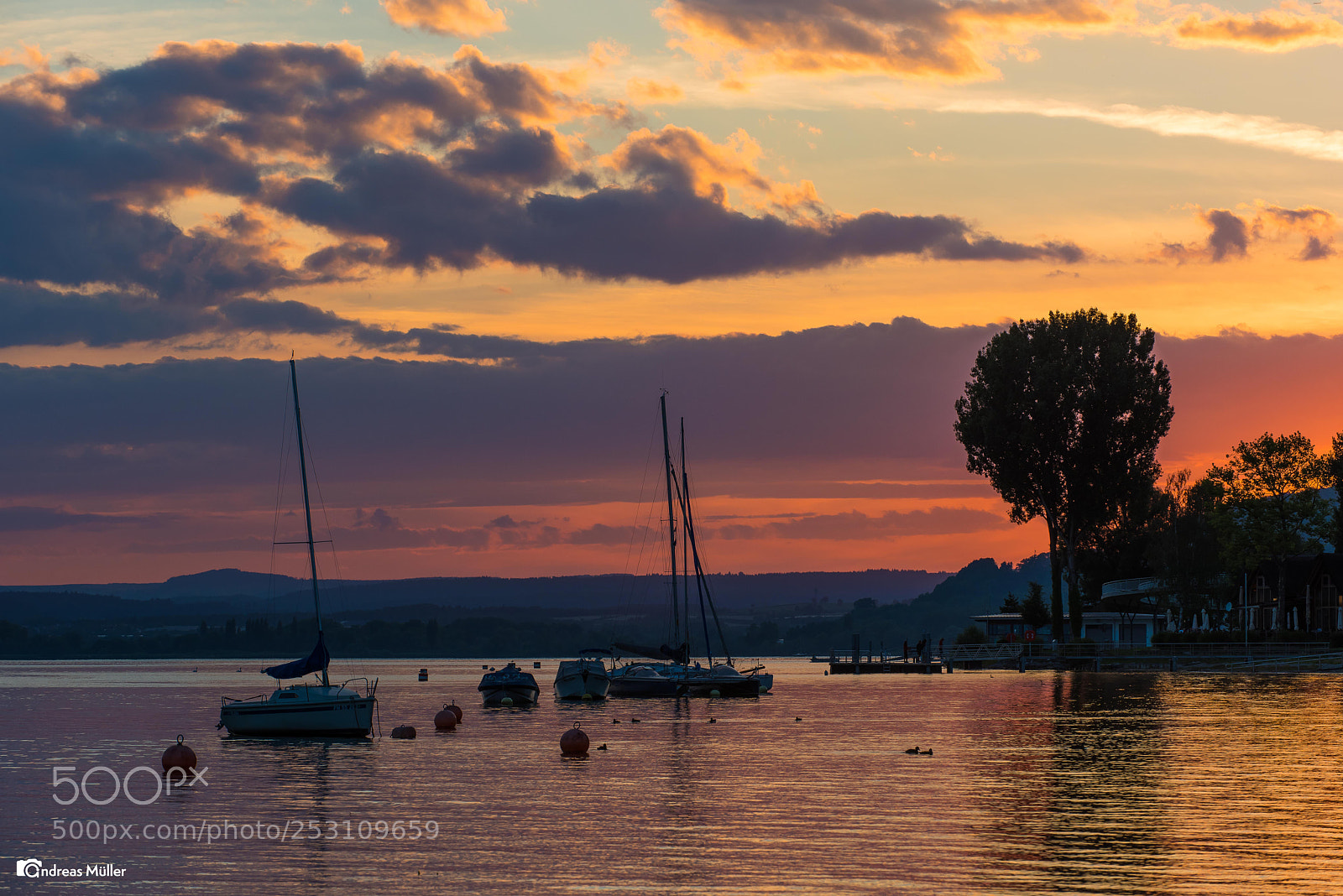 Nikon D810 sample photo. Lake constance photography