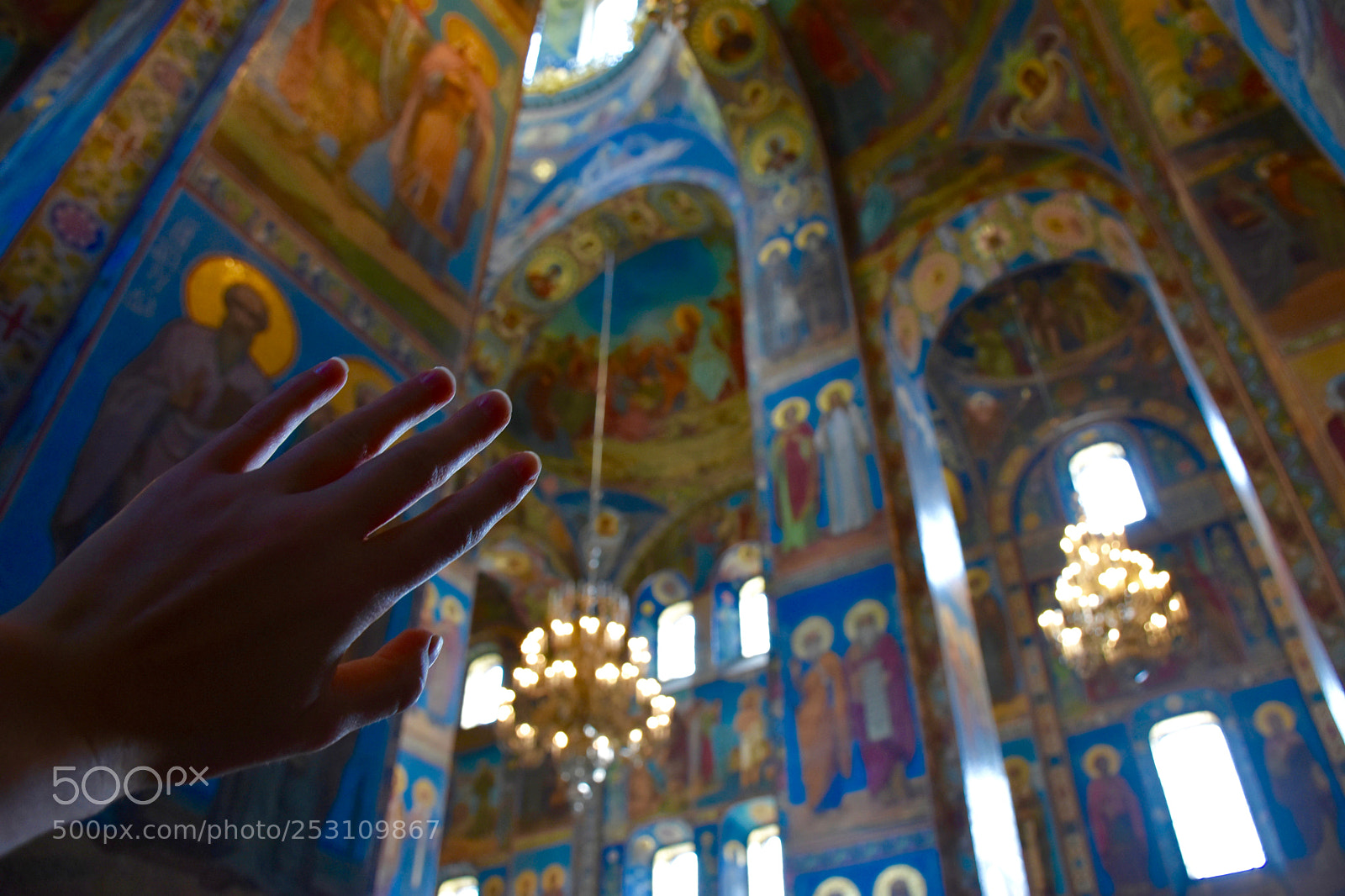 Nikon D7200 sample photo. Follow the light photography