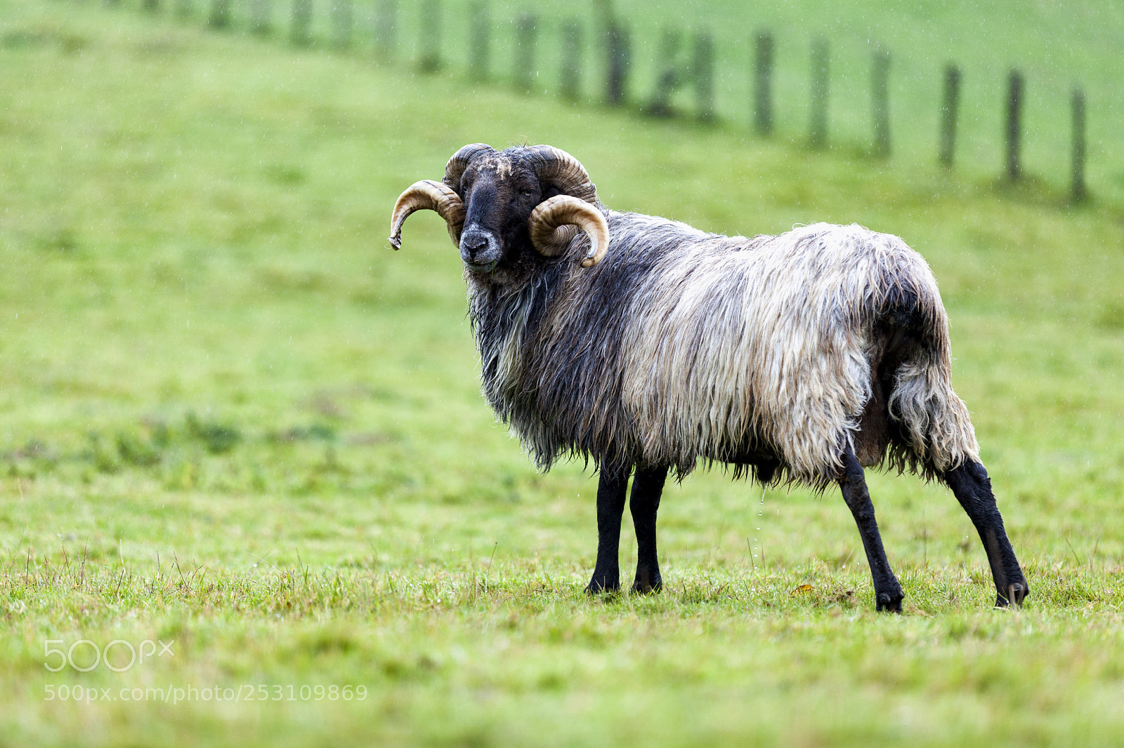 Canon EOS 5D Mark II sample photo. Untitled photography