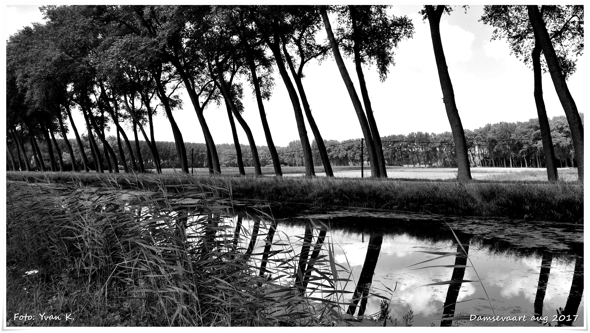 Nikon D90 sample photo. Boomdamme zwart wit photography