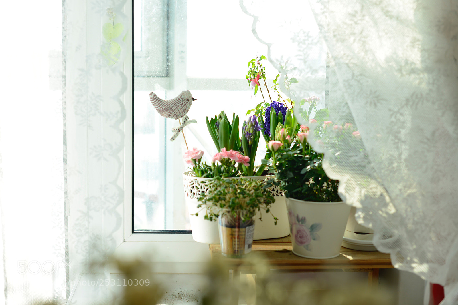 Nikon D800 sample photo. Untitled photography