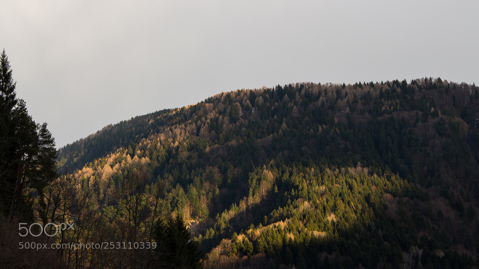Canon EOS 700D (EOS Rebel T5i / EOS Kiss X7i) sample photo. Shadows photography