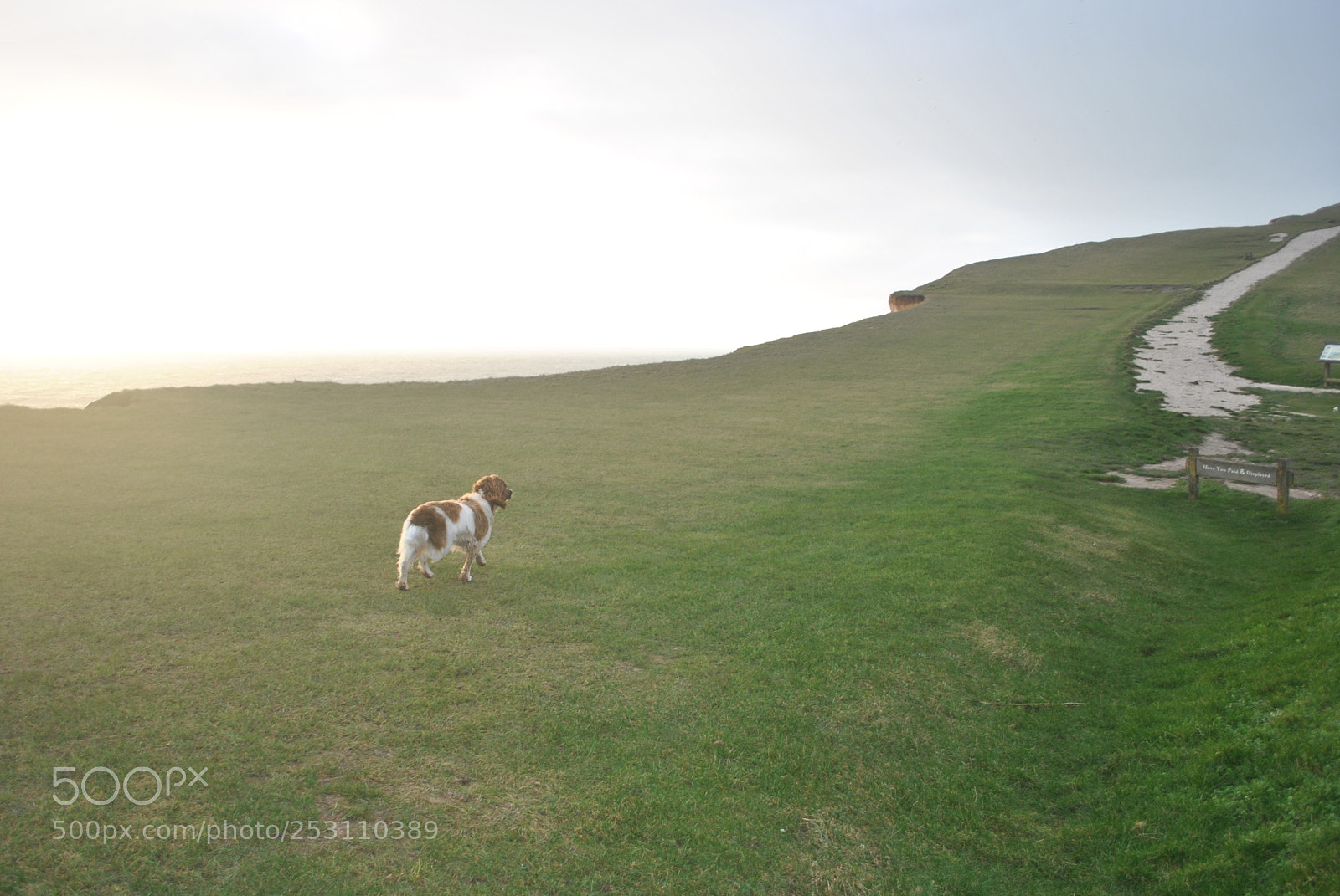 Nikon D3000 sample photo. Seven sisters sussex, england photography