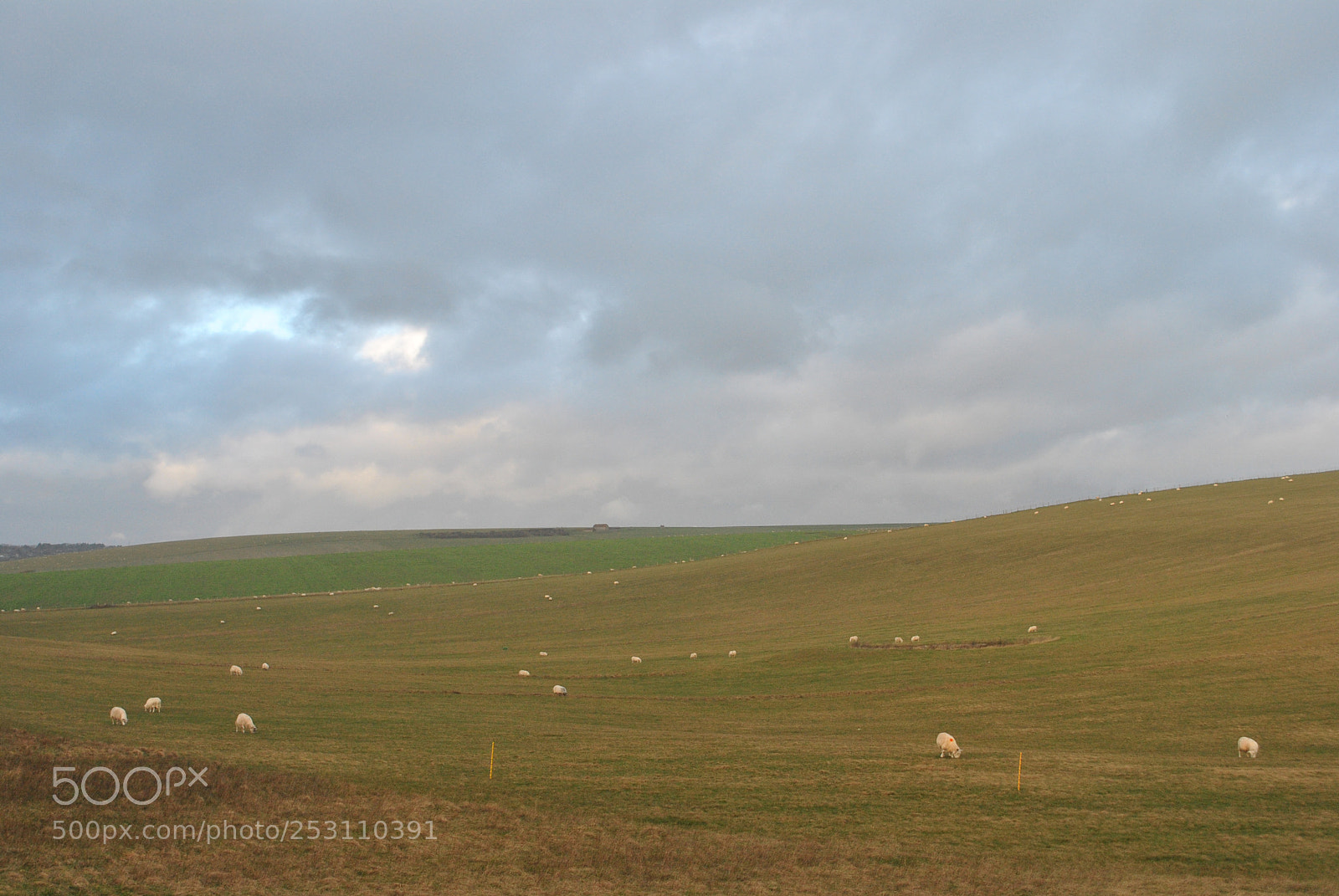 Nikon D3000 sample photo. Seven sisters sussex, england photography