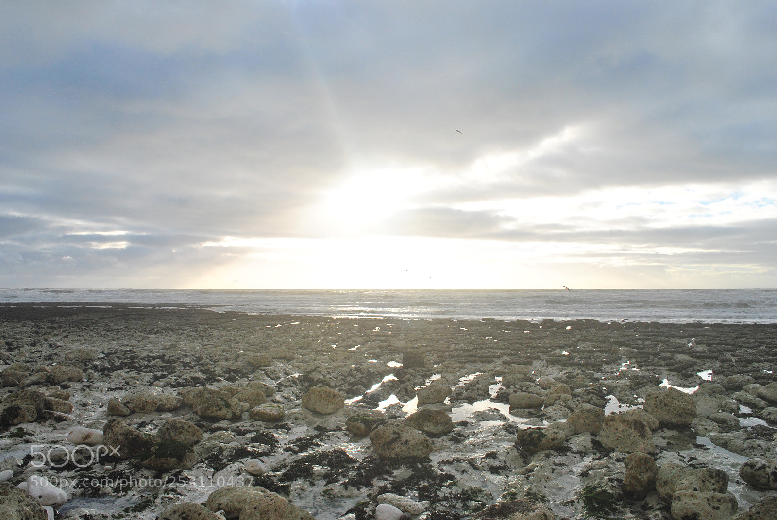 Nikon D3000 sample photo. Seven sisters sussex, england photography