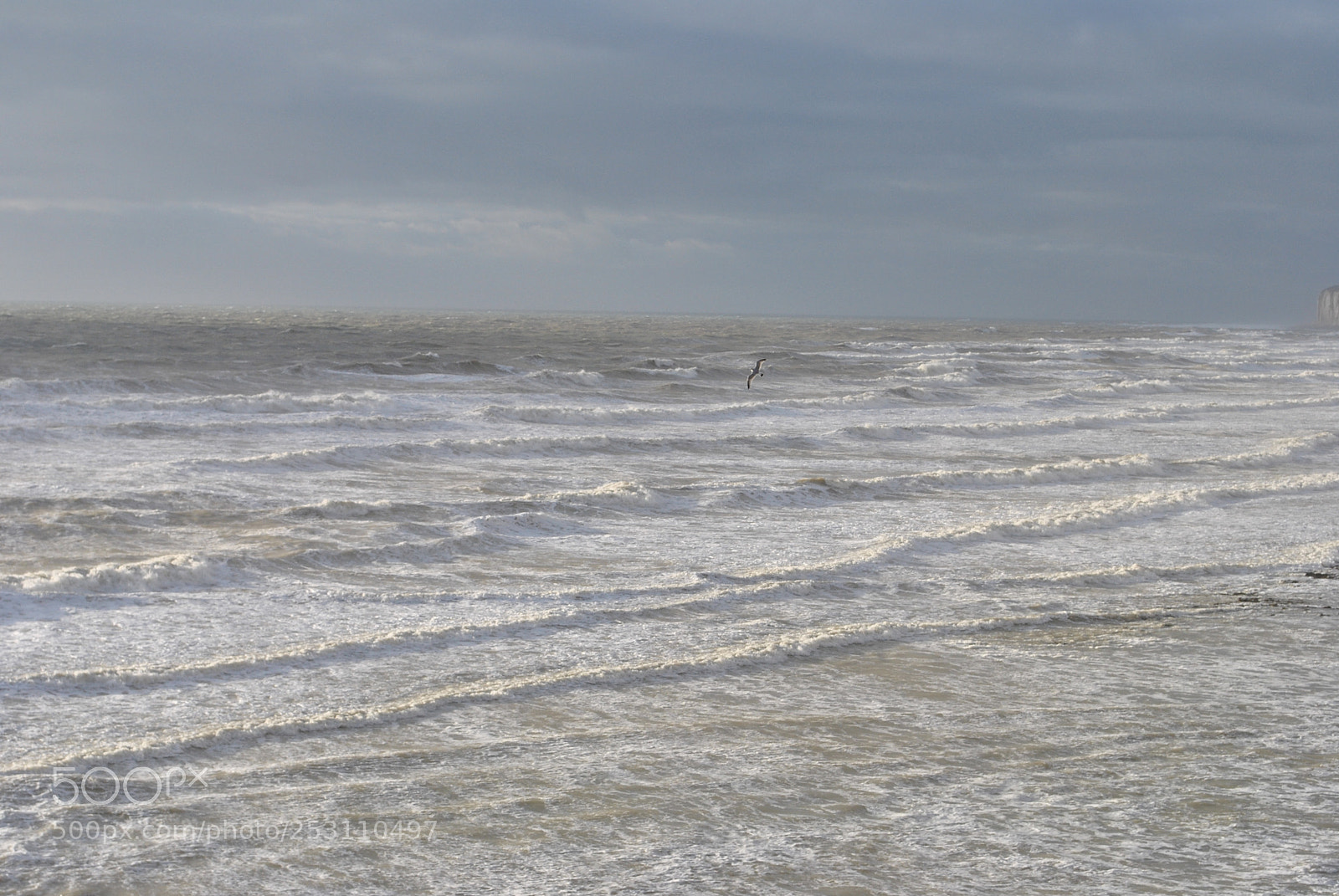 Nikon D3000 sample photo. Seven sisters sussex, england photography